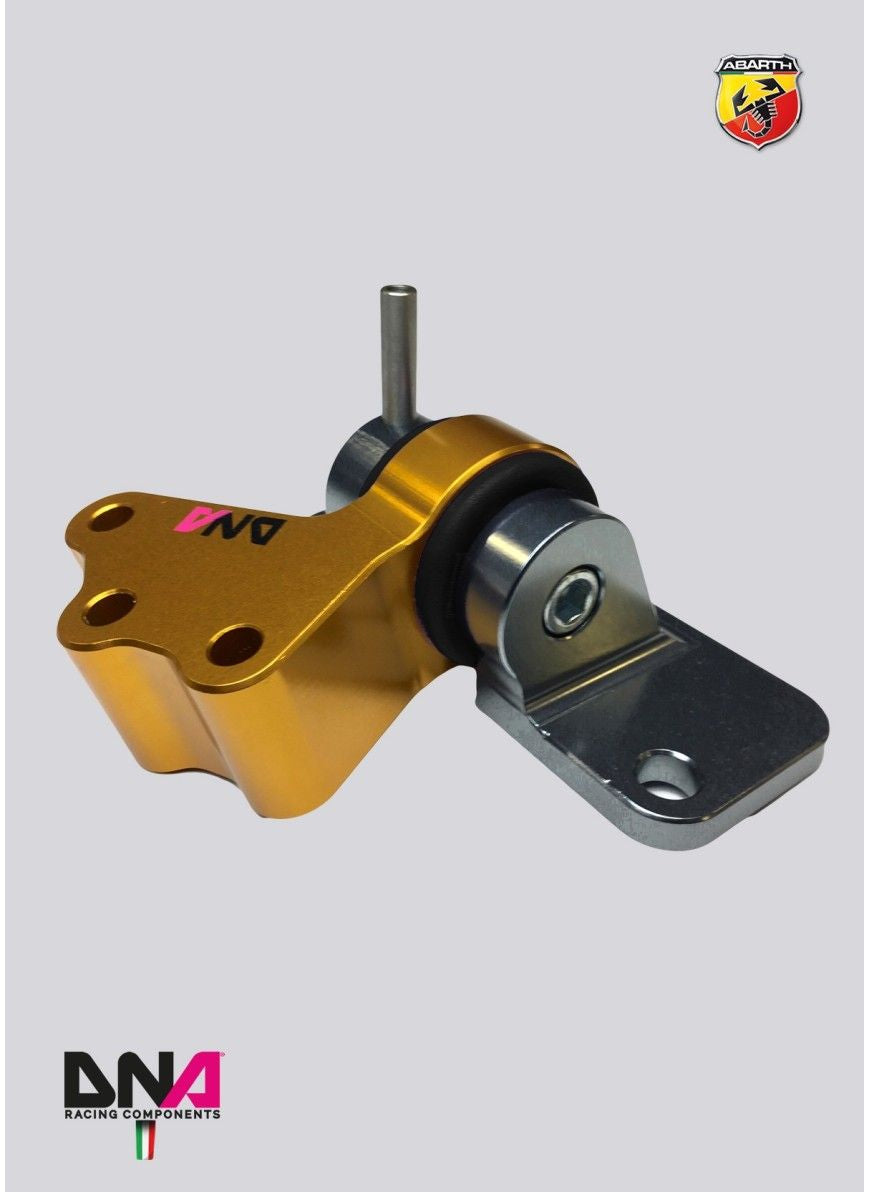 DNA RACING Trak Day 3 Engine Mount Kit