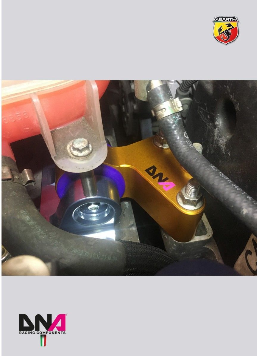 DNA RACING Fast Road 3 Engine Mount Kit