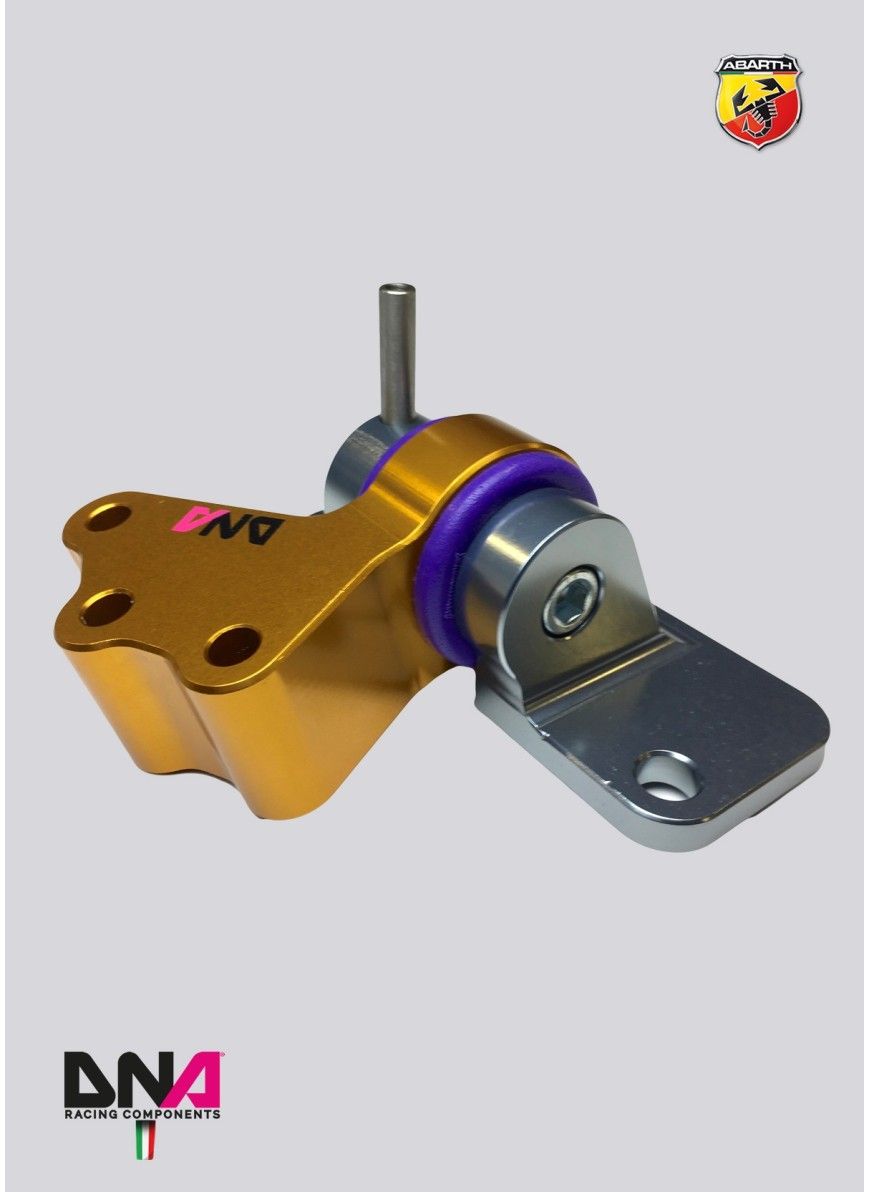 DNA RACING Fast Road 3 Engine Mount Kit