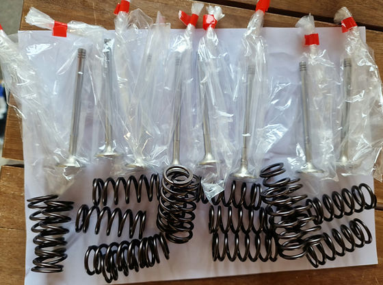 NIMONIC EXHAUST VALVES AND SPRINGS