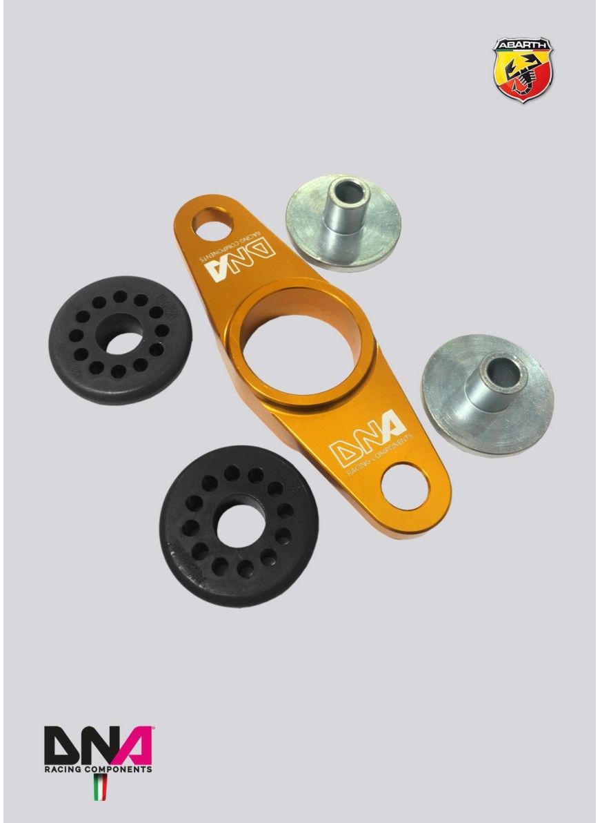 DNA RACING Trak Day 3 Engine Mount Kit