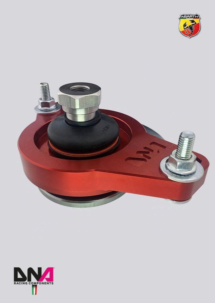 Top mount 695 Biposto DNA Racing kit