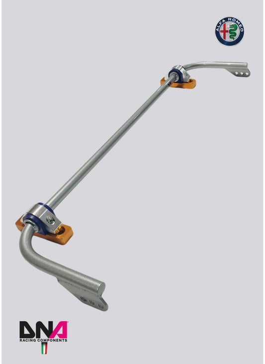 Kit barra antirollio posteriore registrabile DNA Racing