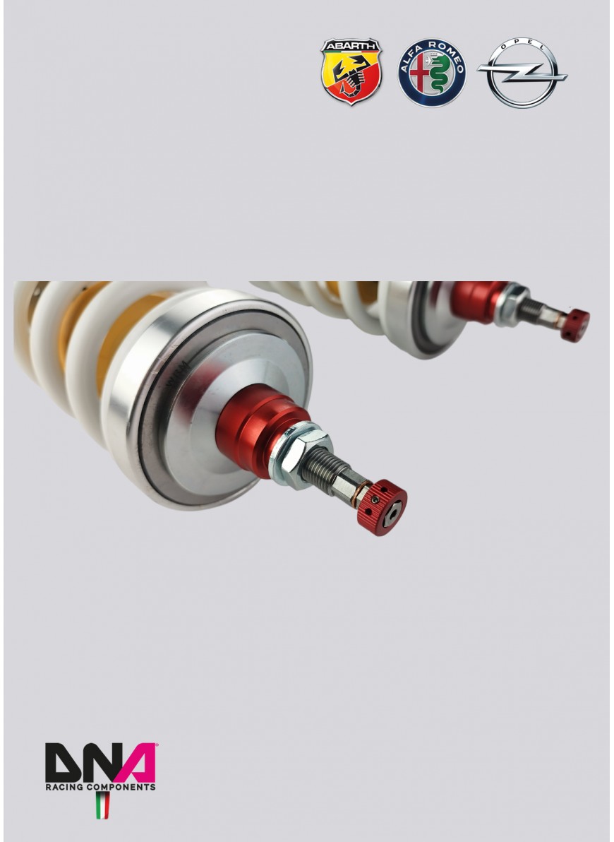 Kit di ammortizzatori WRS DNA Racing GPA/GPA EVO